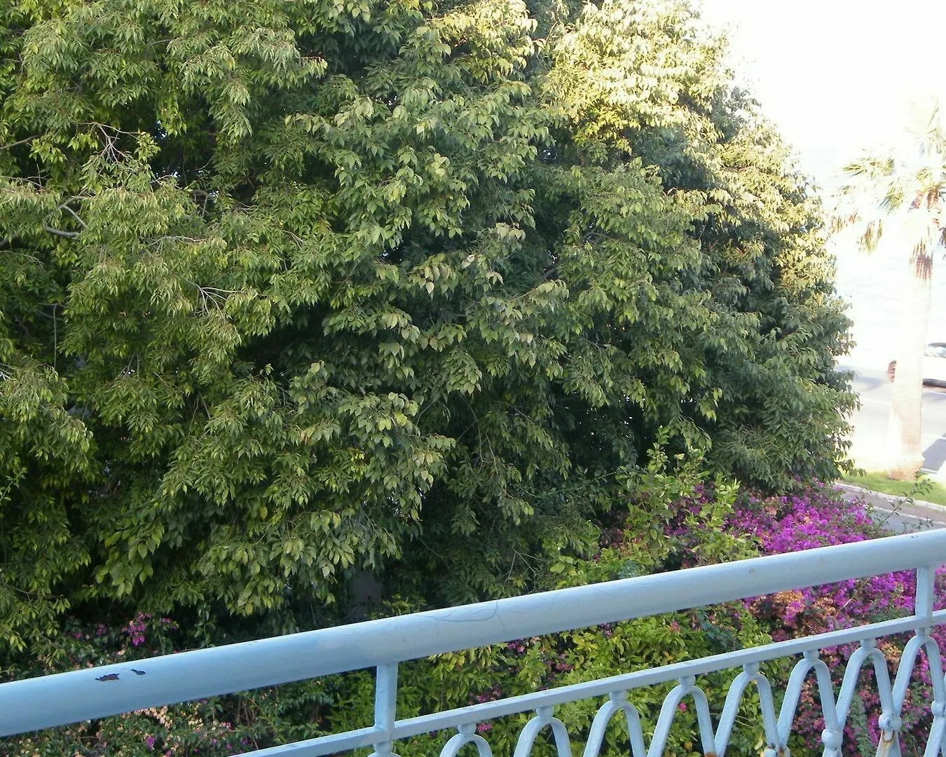 Lägenhet Henri IV 2Chambres Jardin Mer-Pettorossi Nice Frankrike
